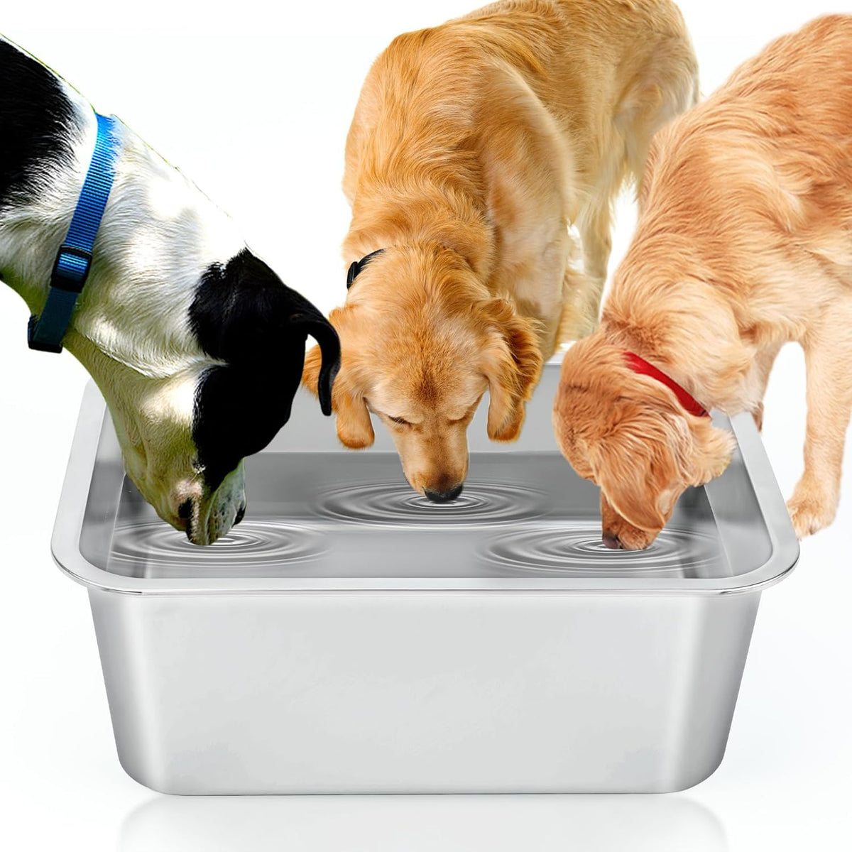 3 Gallon Large Water Bowl for Dogs - 1 Bowl / 4 Gallons