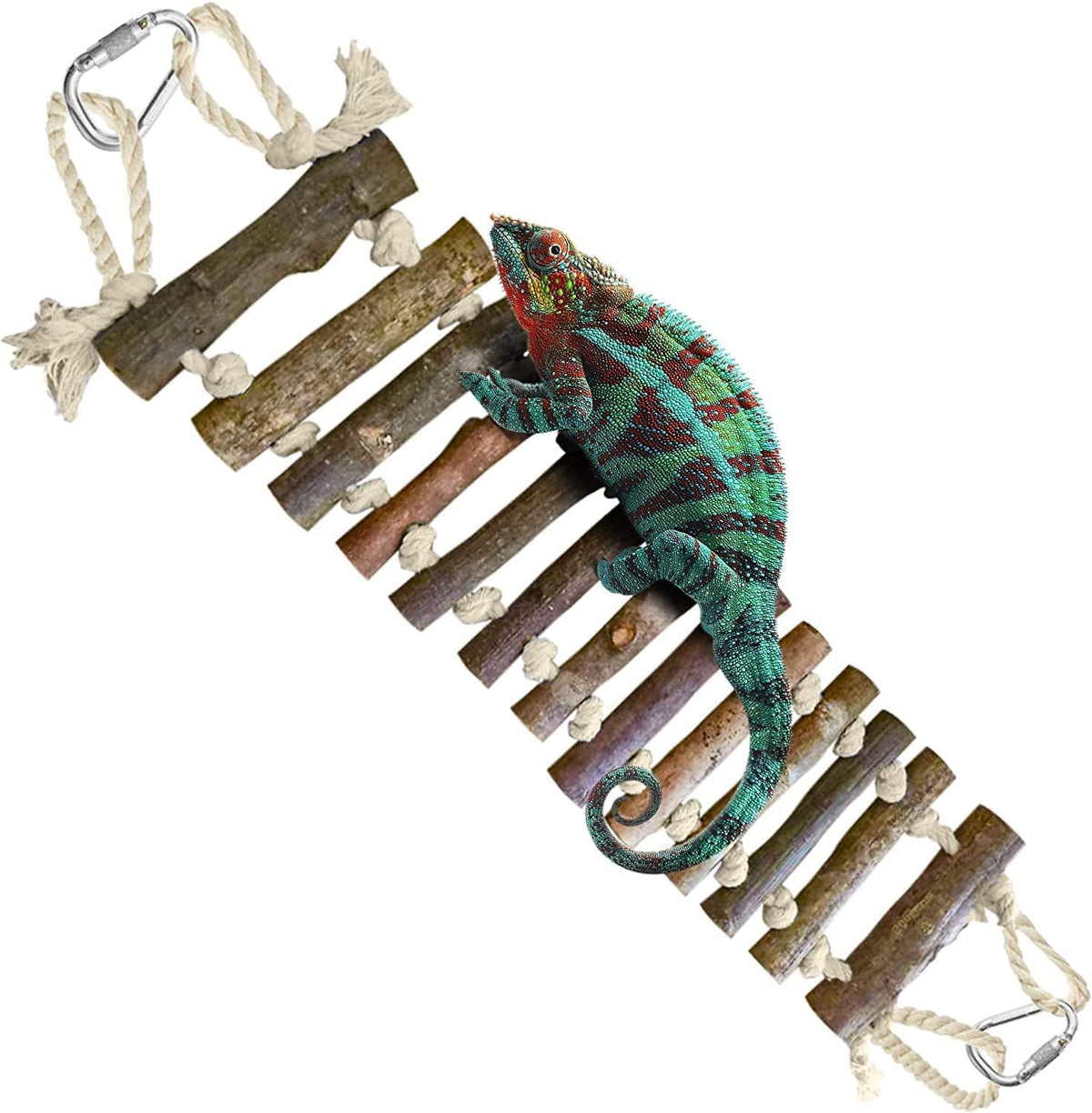 SunGrow Bamboo Gecko Reptile Climbing Bridge and Lizard Lounge - Natural Wood