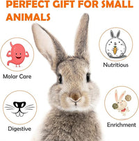 Sofier Timothy Hay Treats Rabbit Toys Bunny Toys Guinea Pig Hamster Natural Chews for Teeth Handmade Rabbit Chews and Treats Chinchilla Rat Gerbil