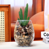 Calofulston 2.2lb Drainage Rocks for Potted Plants, 1/5 Inch Small Pebbles for Plants, Aquarium, Fish Tank, Terrarium, Succulent, Vases, Decorative Pea Gravel, Mixed Color