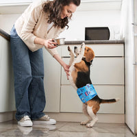Pet Soft Dog Belly Bands - Washable Dog Diapers Belly Band for Male Dogs, Reusable Male Dogs Wraps - Sailor / X-Large (19''-23'') - image 4