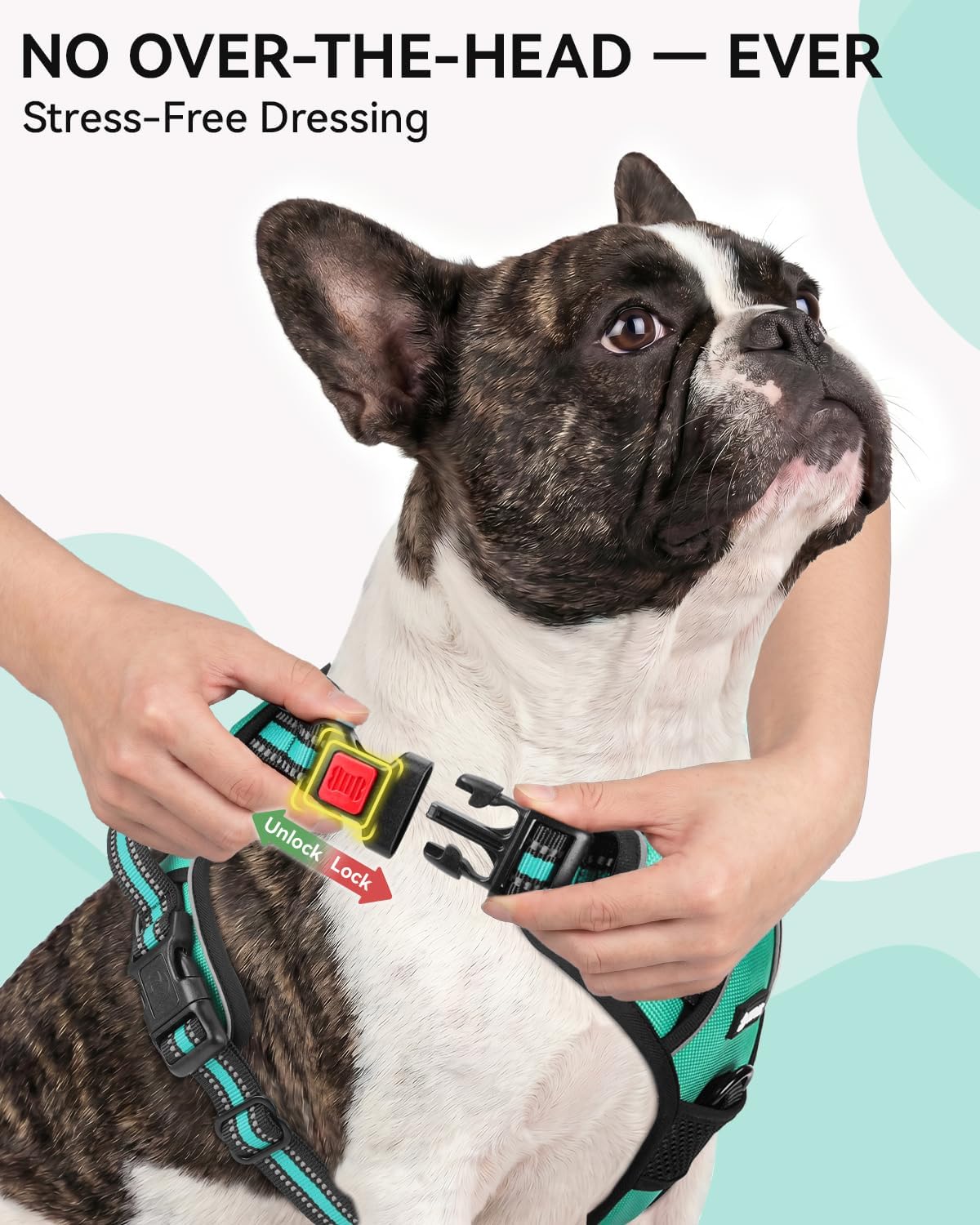Joytale No Pull Dog Harness & Seat Belt, Easy On 3-Buckle, L - Teal / Medium - image 2