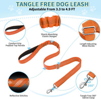 Lukovee Small Dog Harness and Leash Set, No Pull Soft Padded, XS - Orange / XS ( Chest 14'' ~ 18'') - image 3