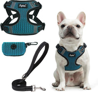 PUPTECK Dog Harness and Leash Set Small Sized - L (25-33lbs, Chest 20"-25") / #1 Blue(Breathable Mesh)