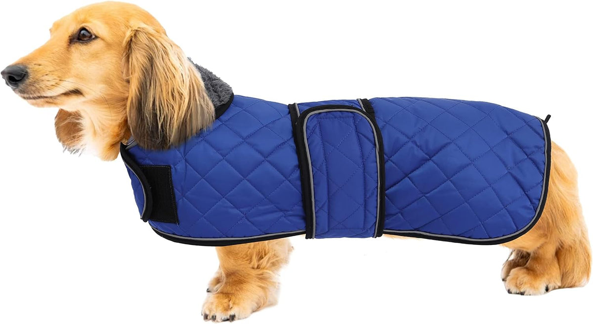 Warm Thermal Quilted Dachshund Coat - Small / Blue