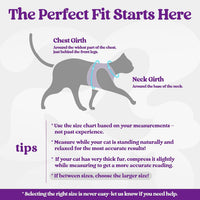 rabbitgoo Cat Harness and Leash Set, Step-in Soft Vest - S / Black & Purple - image 2