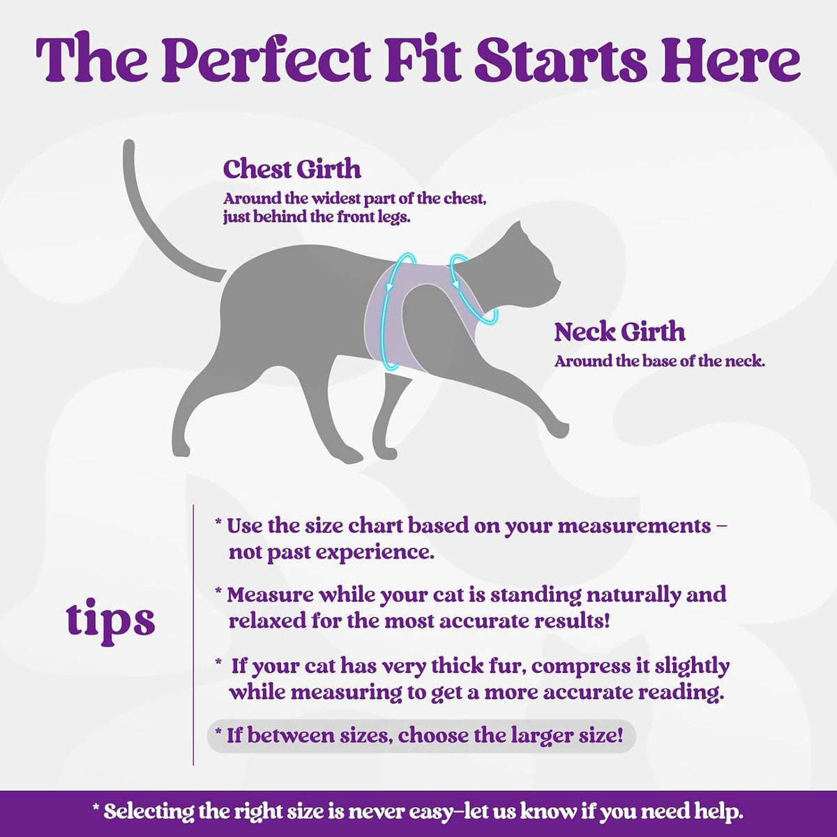 rabbitgoo Cat Harness and Leash Set, Step-in Soft Vest - S / Black & Purple - image 2
