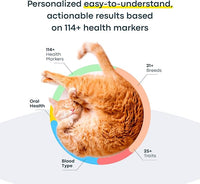 Basepaws Cat DNA Test Kit - Comprehensive Breed, Health and Dental Analysis Across 114 Traits for Accurate and Easy-to-Use Genetic Insights