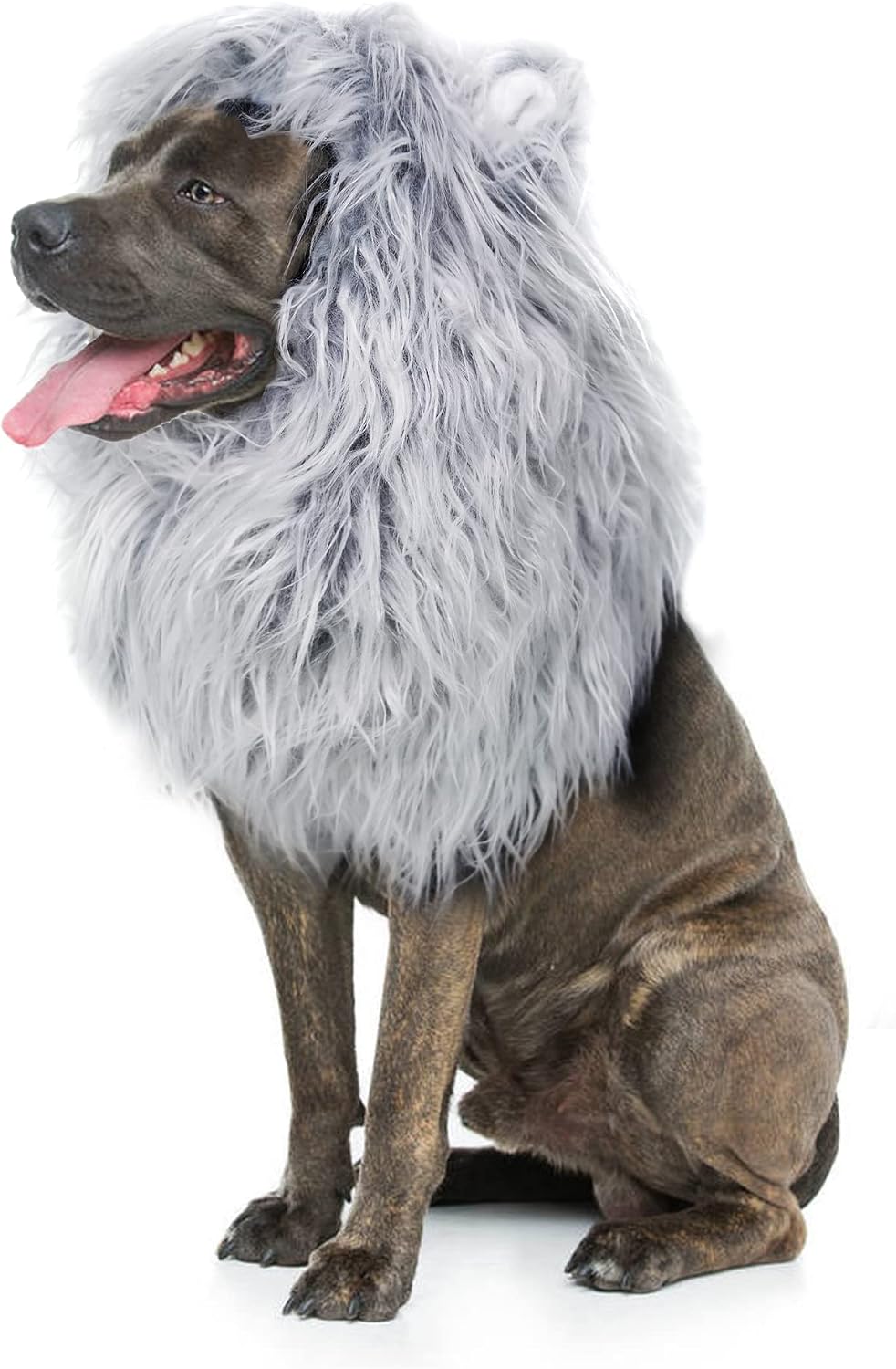 Lion Mane Wig for Dogs with Ears - Size M / Grey with white