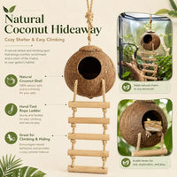 RUNANIA Crested Gecko Tank Accessories，Reptile Vines Plants - Medium - image 3