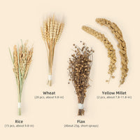 Niteangel Natural & Soft Hamster Bedding Mate: Air-Dried Flowers - Harvest Version - image 2