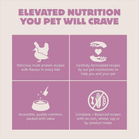 Meadow Roast, Dry Cat Food, Chicken Meal and Duck Meal Adult Recipe with Grains, 12 lb Bag