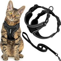 Voyager Escape-Proof Step-in Harness & Leash, Orange - Black (327) / XS (Chest: 13 - 16")