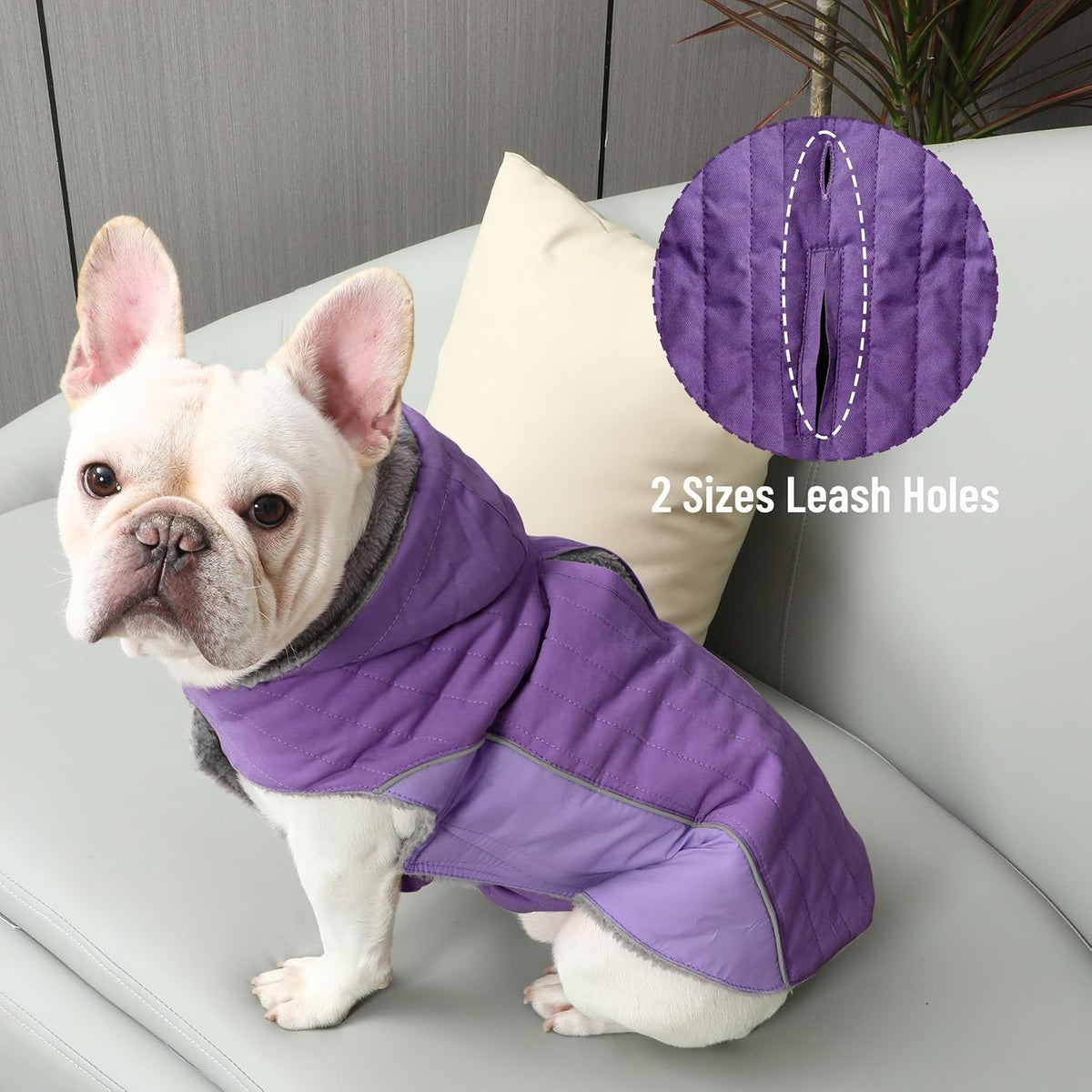 Warm Fleece Dog Hoodie for Small Dogs, Winter Puppy Coats - Purple / Small - image 2