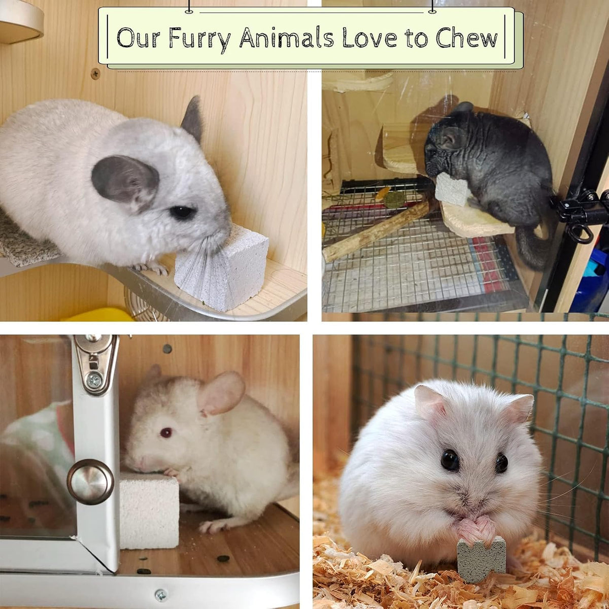 24 PCS Chinchilla Chew Toys Lava Blocks Hamster Chew Toys – Essentials for Small Pets - 20 Pcs-Square / 1.57 Inch Diameter - image 2