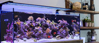 CURRENT USA 72" Inch Orbit Marine IC LOOP LED Saltwater Reef Marine Aquarium Light with Bluetooth App Control | Wireless Lighting & eFlux Wave Pump Control for Fish Tank (4208)