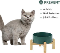 Ceramic Raised Dog and Cat Bowl Set, 2 Heights Elevated Stand, Food and Water Bowl for Small Breed Dogs, Cats, Kitty, Weighted Dog Dishes, Pet Bowls(5.1'',13.5oz, Green)