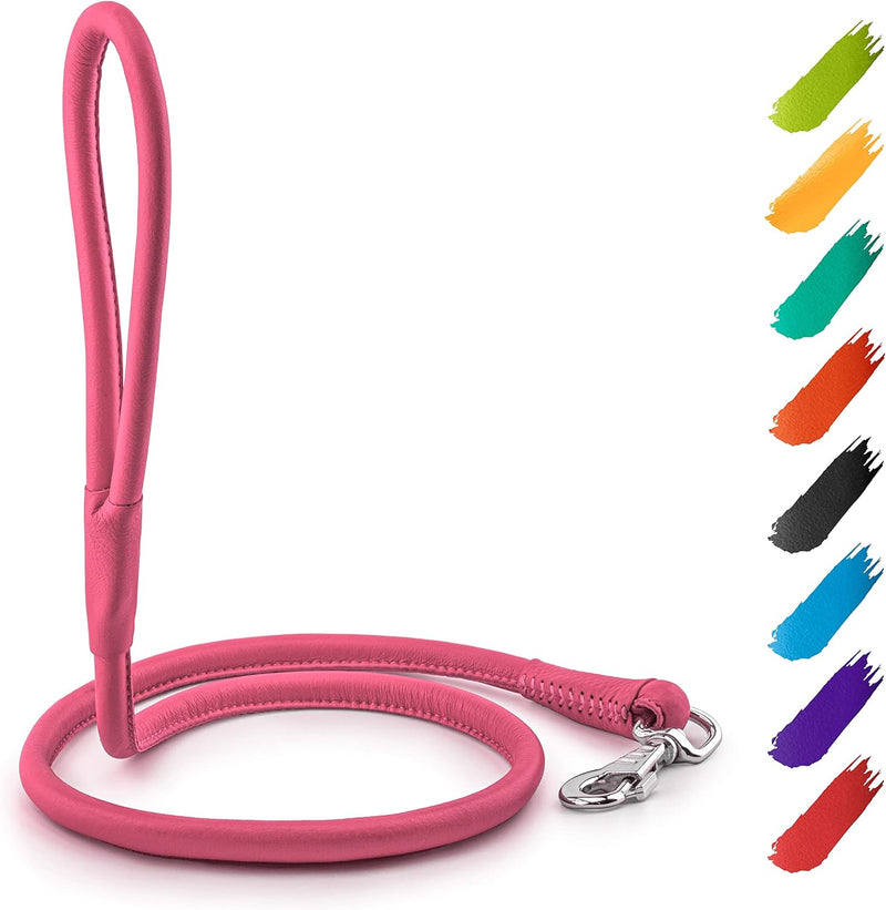 WAUDOG Rolled Leather Dog Leash 4Ft * 0.3 in for Small Medium - Pink / 4Ft * 0.4 in