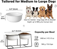 Ceramic Elevated Dog Bowls with Stand - Matte White / XL × 2 - image 2