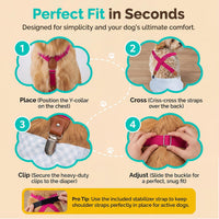 2 Pieces Dog Diaper Suspenders - Black&Purple / Small/Medium - image 2