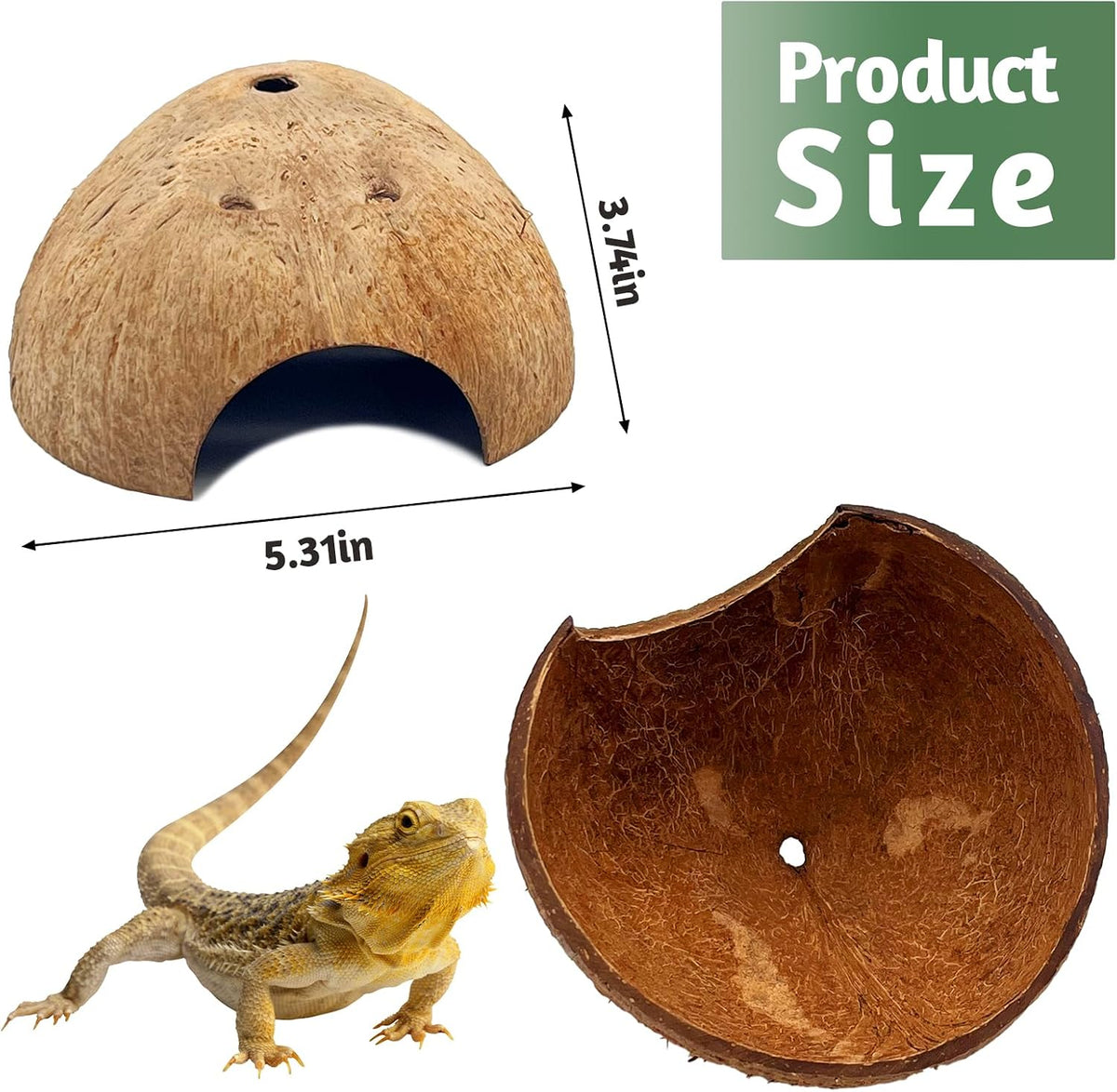 PINVNBY 2 PCS Natural Coconut Reptile Hideouts Lizard Coco Hut Hermit - Smooth Surface / 4 PCS - image 2