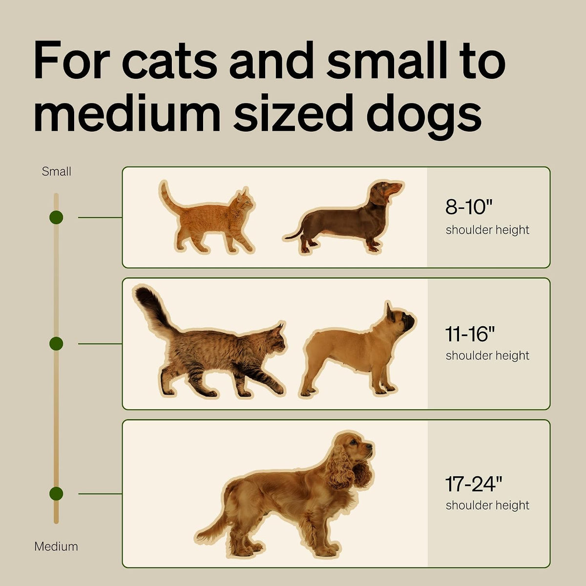 PETLIBRO Automatic Cat Feeder - Silver / Slow Feeder Bowl Insert - image 4