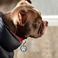 MYLUCKYTAG NFC&QR Code Personalized Dog Cat Tag - Paw,grey - image 4
