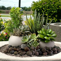 HappyFiller Natural Decorative Pebbles Polished Gravel Rocks Stones for Aquarium,Fish Turtle Tank,Outdoor Indoor Plants Top Dressing,Succulents Soil Cover,Garden Landscaping,2 LB,Red Mix