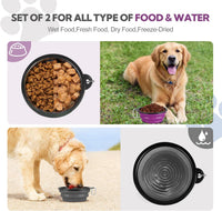 Collapsible Dog Bowl for Travel - Large / Grey+Purple - image 3