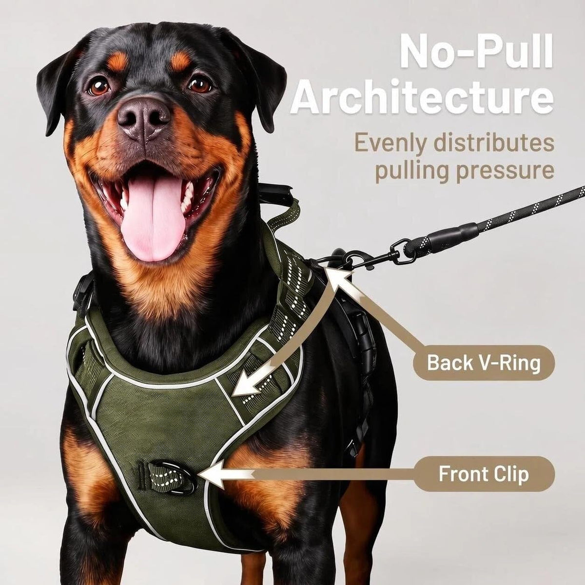 Dog Harness and Leash Set for Large Dogs - Army Green / S - image 2