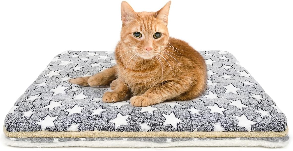 2 Pack Cat Blanket for Indoor Cats - Stars / 22X15 in