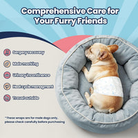 Dog Diapers Male, X-Small 50 Ct - Medium: 50Ct - image 4