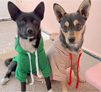 Dog Hoodie Basic Sweater Coat Cute - Green Frog / X-Large - image 4