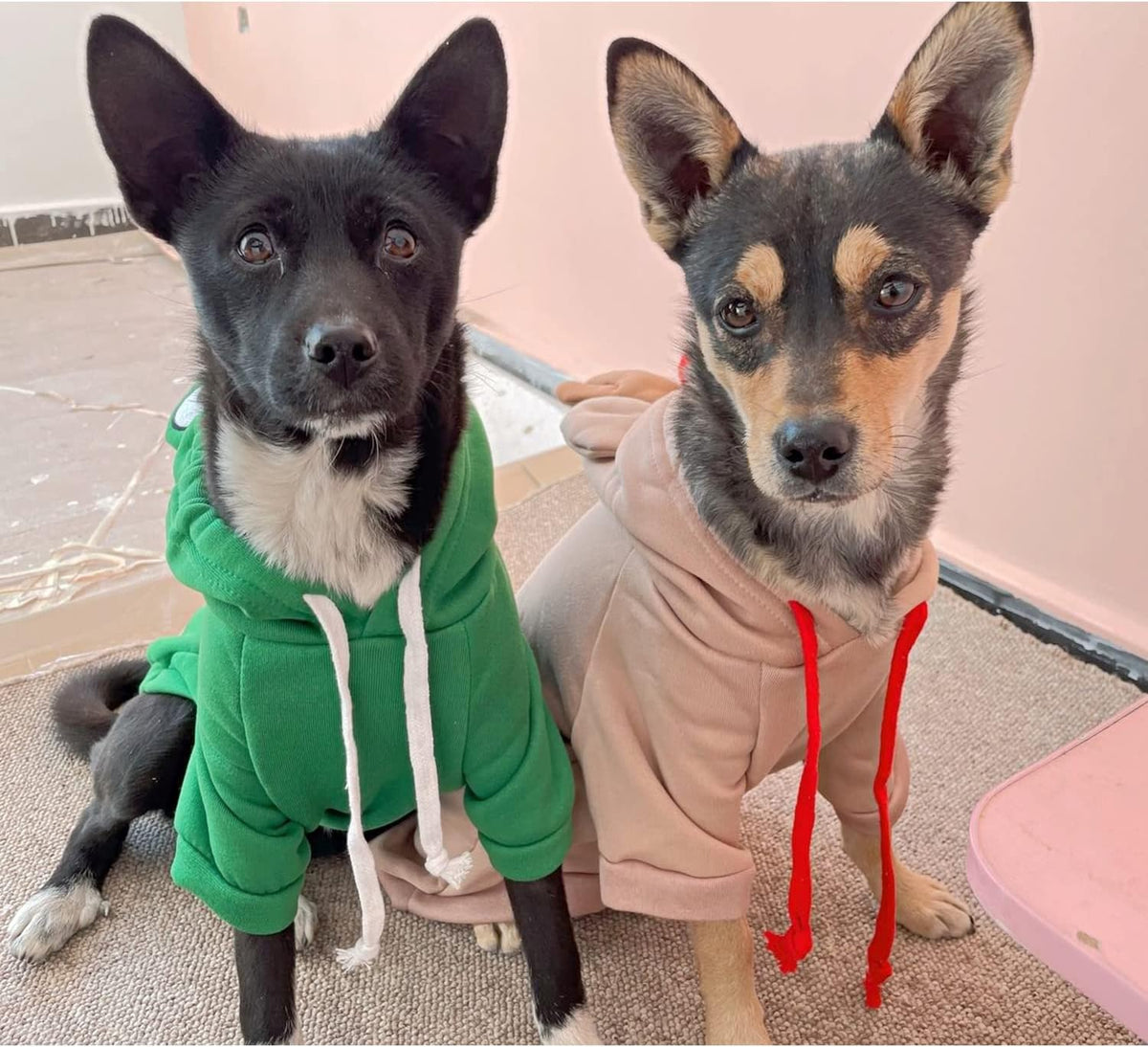 Dog Hoodie Basic Sweater Coat Cute - Green Frog / X-Large - image 4