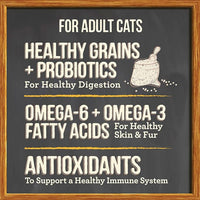 Merrick Purrfect Bistro Premium Healthy Grains Dry Cat Food For Adult Cats, Real Chicken And Brown Rice Recipe - 4.0 lb. Bag