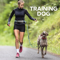 Hands Free Dog Leash with Pouch, Double Leash for Two Dogs, Retractable Bungee with Double Padded Handles, Dog Waist Leash for Dog Walking, Running Leash for Dogs, Dog Walking Accessories