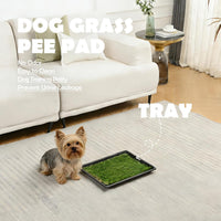 MEEXPAWS Dog Grass Pee Pads for Dogs with Tray - Small - 18 x 14 inch - image 2
