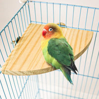 2 Pack Bird Perch Platform - Set 2 - image 3