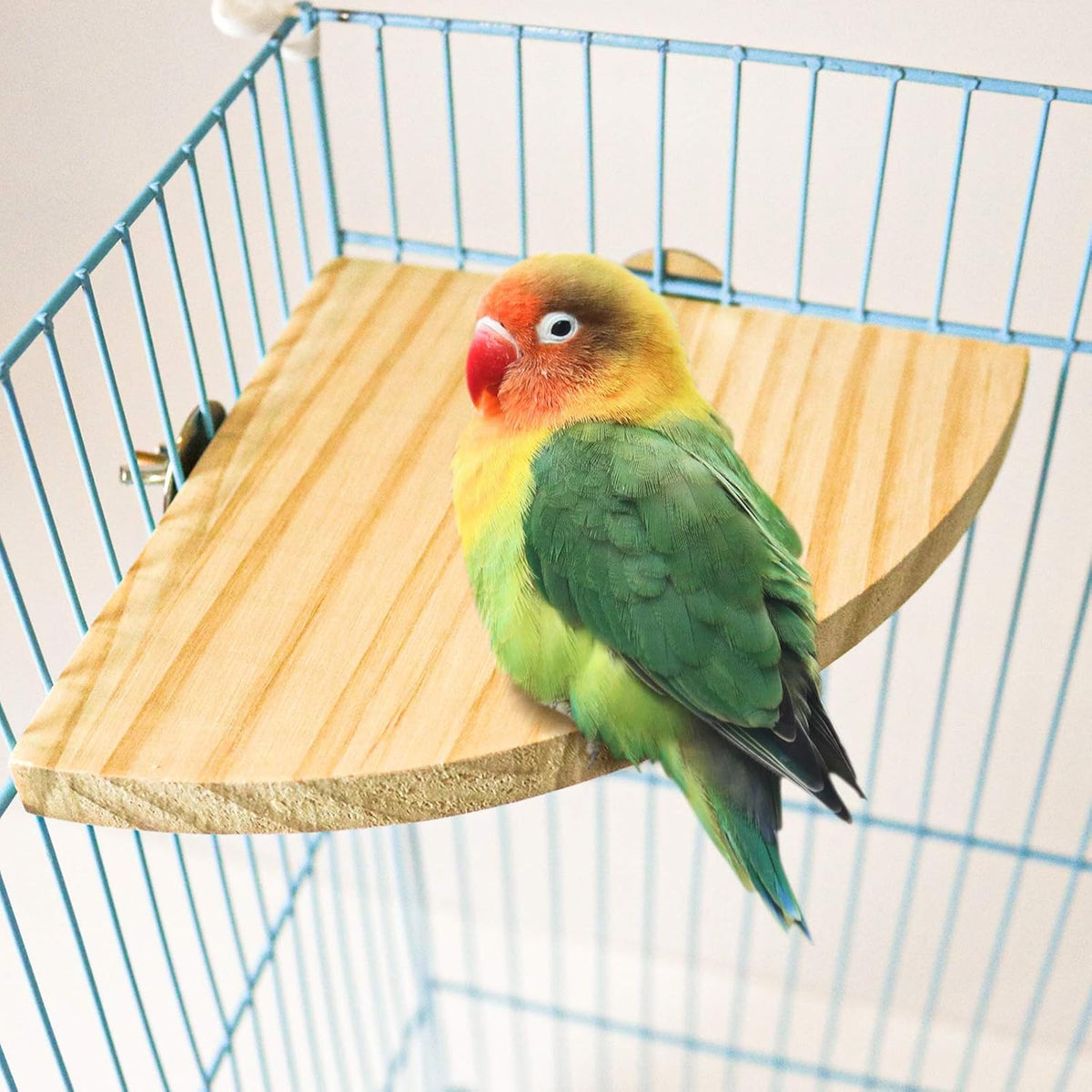 2 Pack Bird Perch Platform - Set 2 - image 3