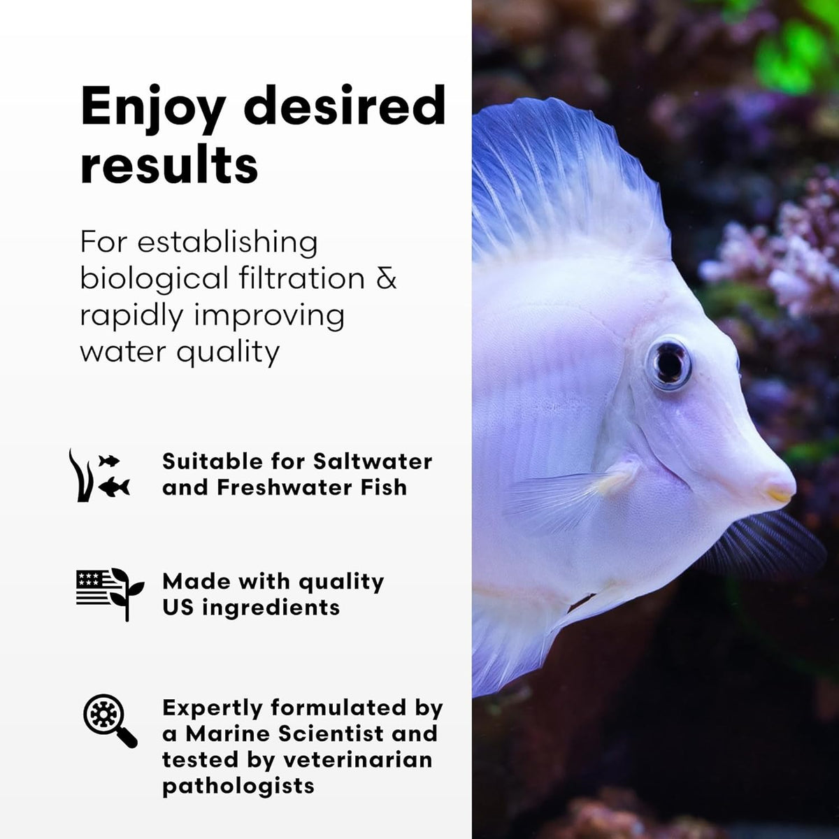 Brightwell Aquatics MicroBacter7 bioculture for marine and freshwater aquariums - view 3