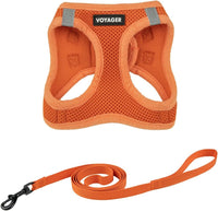 Voyager Step-in Air Cat Harness & Leash Set, XS - Orange / S (Chest: 14 - 16")