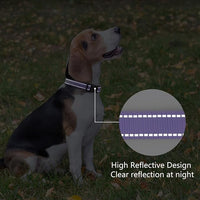 Reflective Dog Collar Padded with Soft Neoprene Breathable Quick Release Basic Dog Collars for Large Dogs Purple Girl