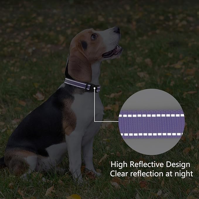 Reflective Dog Collar Padded with Soft Neoprene Breathable Quick Release Basic Dog Collars for Puppy Small Dogs Girl Purple