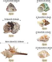 QUOZUO Hermit Crab Shells Natural Coconut Shell Hut Artificial Plants - image 3