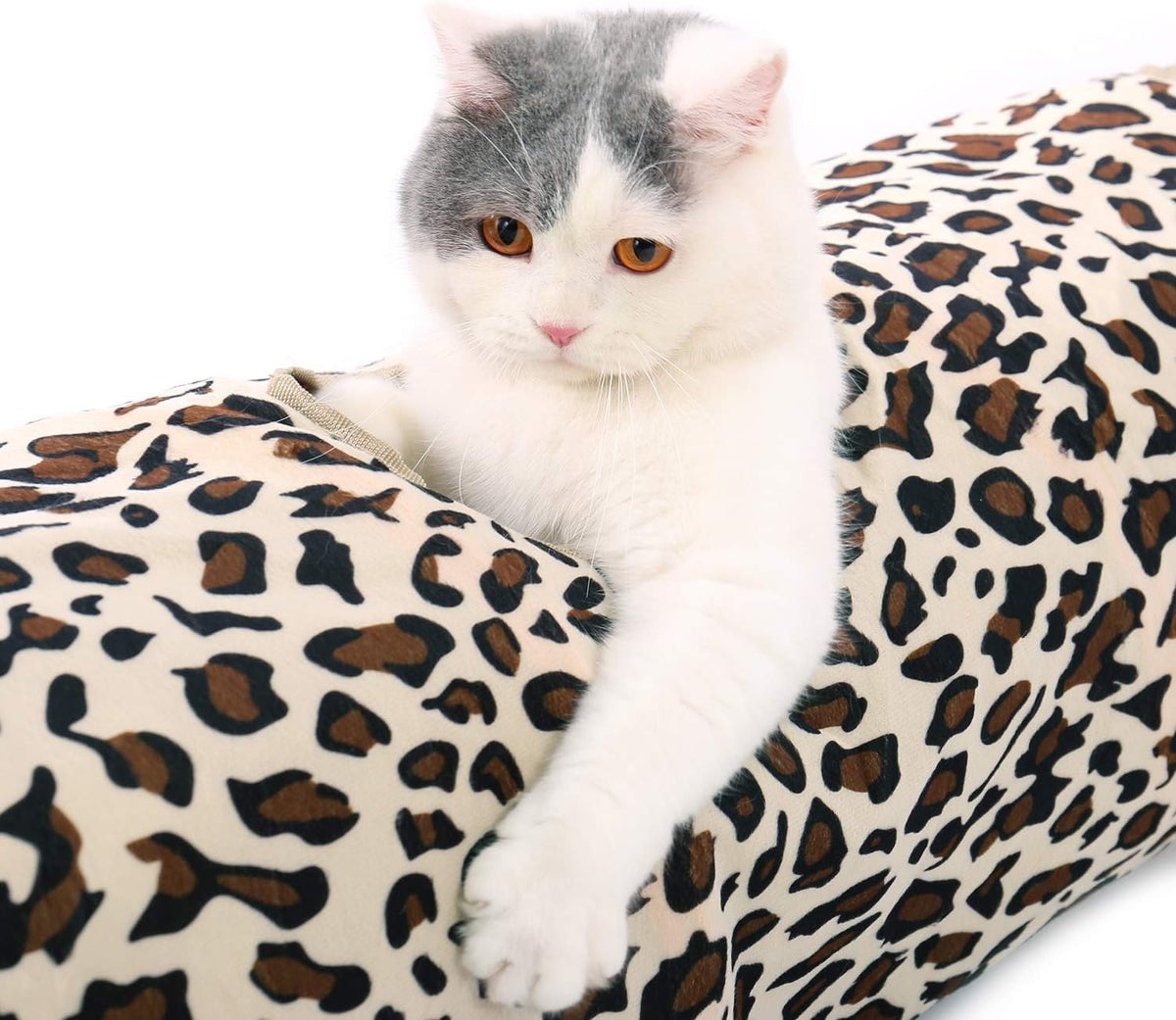 PAWZ Road Cat Tunnel 51 Inches Long Cat Toys Collapsible Tunnel - Leopard / Large-51" - image 3