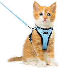 Cat Harness and Leash Set, Adjustable and Escape Proof - Light Blue / Xxs