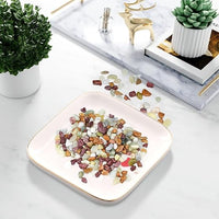 5lbs Pebbles for Indoor Plants, 3/8 Inch Small Rocks for Potted Plants, Succulents, Vase Fillers, Cactus Planters, Bird Bath, Fountain, Outdoor Garden Landscaping