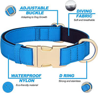 Didog Soft Padded Dog Collars for Small Dogs, Colorful and Durable Dog Collar with Quick Release Buckle, Light and Breathable for Daily Walking, Blue, S