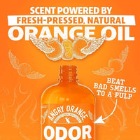 ANGRY ORANGE Pet Odor Eliminator for Dog and Cat Urine, Carpet Stains, and Strong Smells – Citrus Cleaner with Natural Orange Oil – 24 oz - Value 2 Pack