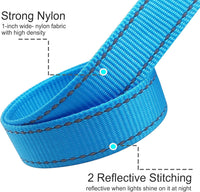10FT Dog Leash with Traffic Handle Reflective Large Medium Dogs – Essentials for Dogs - 10ft x 1 in / blue - image 3